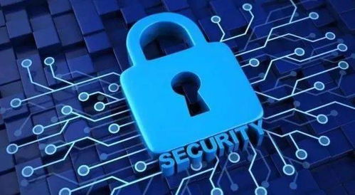 筑牢個人信息安全防護墻 多部門密集部署推動網絡與信息安全軟件開發